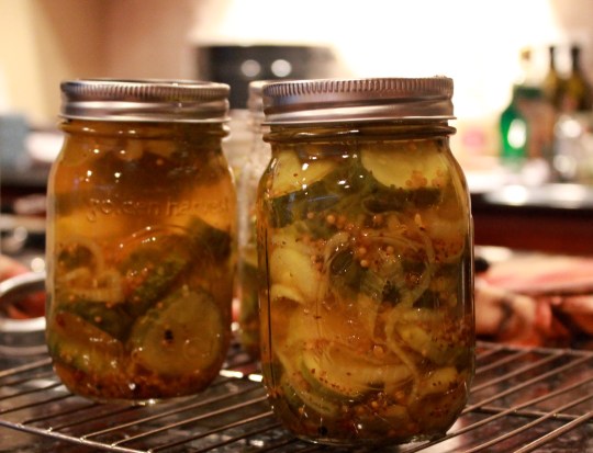 Canning Pickles