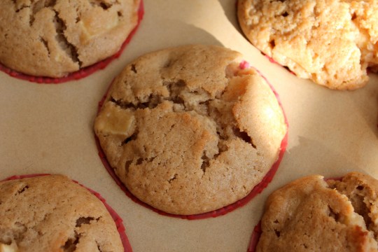 Apple Cupcakes