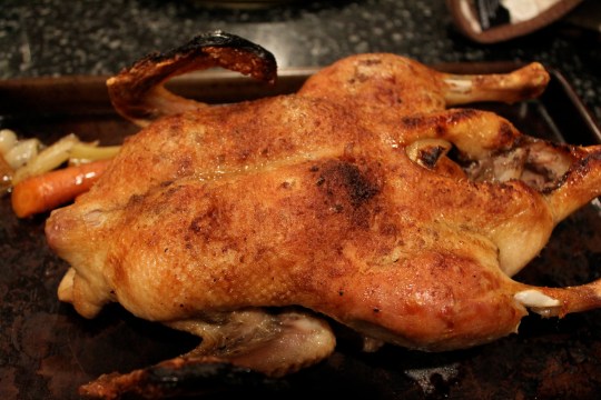 Roasted Duck