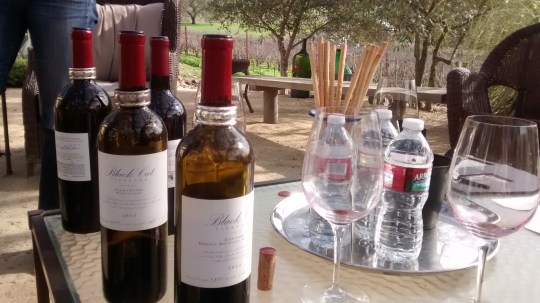 Black Cat Vineyard Wine Tasting